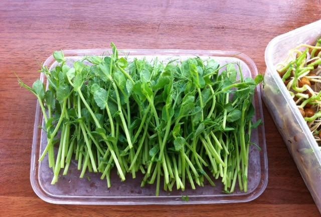 1541216403549451.jpg 6.jpg